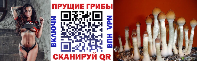 Псилоцибиновые грибы ЛСД  Емва 